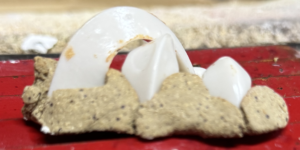 Close-up of broken white eggshell fragments and crumbs on a red tray or surface.